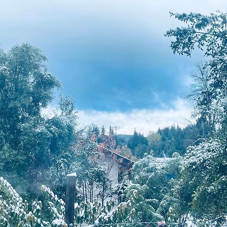 Tawa Wasi - Villa La Angostura Exteriér fotografie